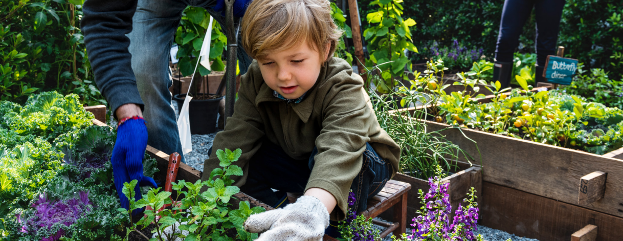 An adult helping a small child plant into wooden raised garden bed